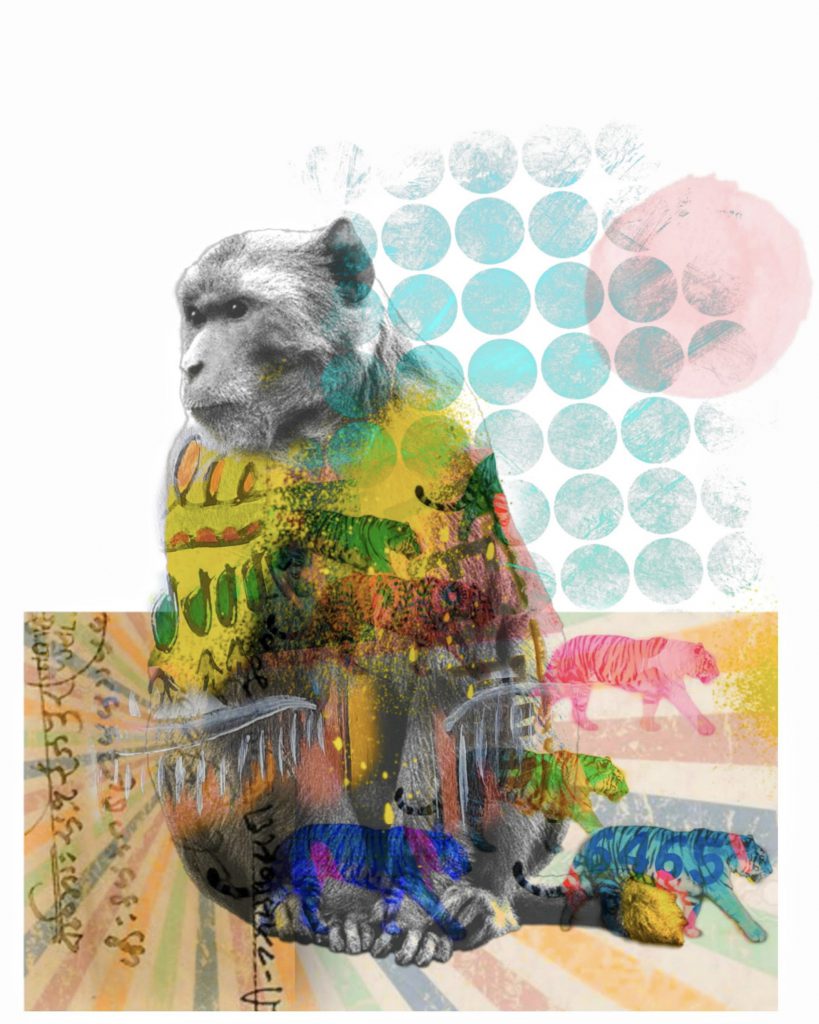 A black-and-white photo of a monkey sitting down with images of tigers, writing and dots in a variety of colours superimposed overtop.