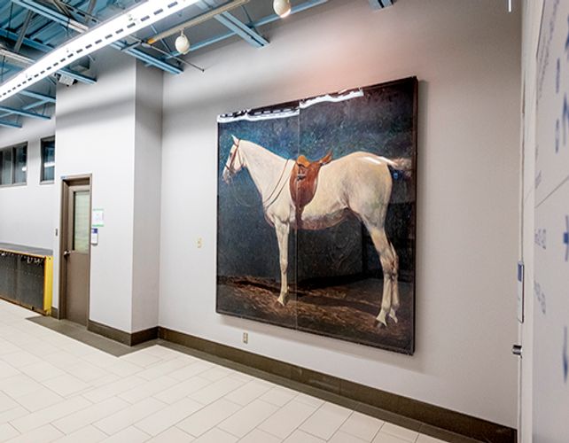 Horse Mural Painting at Barrie Campus