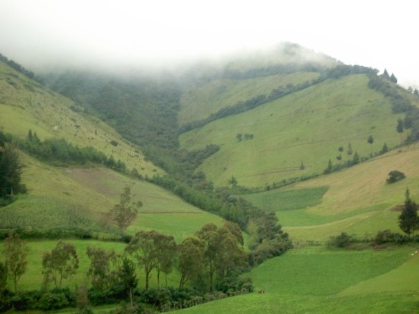 Expansive green hills in a countryside.