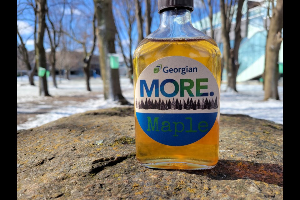 A bottle of maple syrup on a rock outside with trees in the background. The label says Georgian: MORE Maple