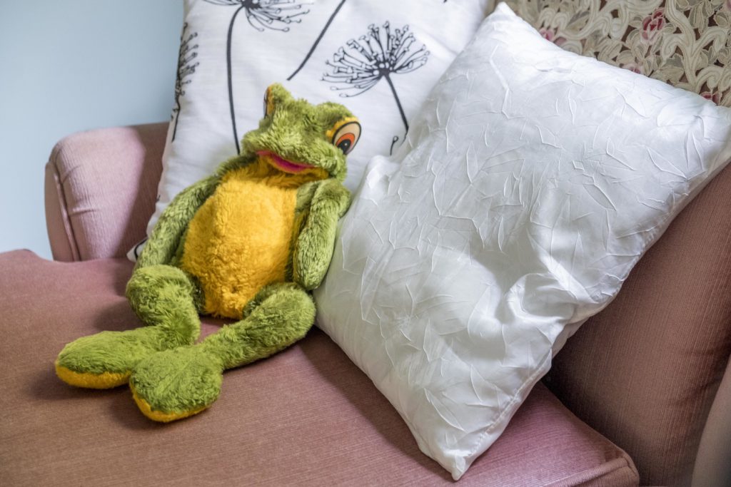 Mr. Frog (stuffed animal) leaning on a pillow on the couch