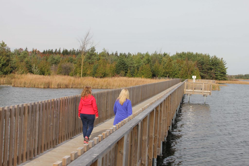 Two women walking on a board walk in Dufferin County, Ontario