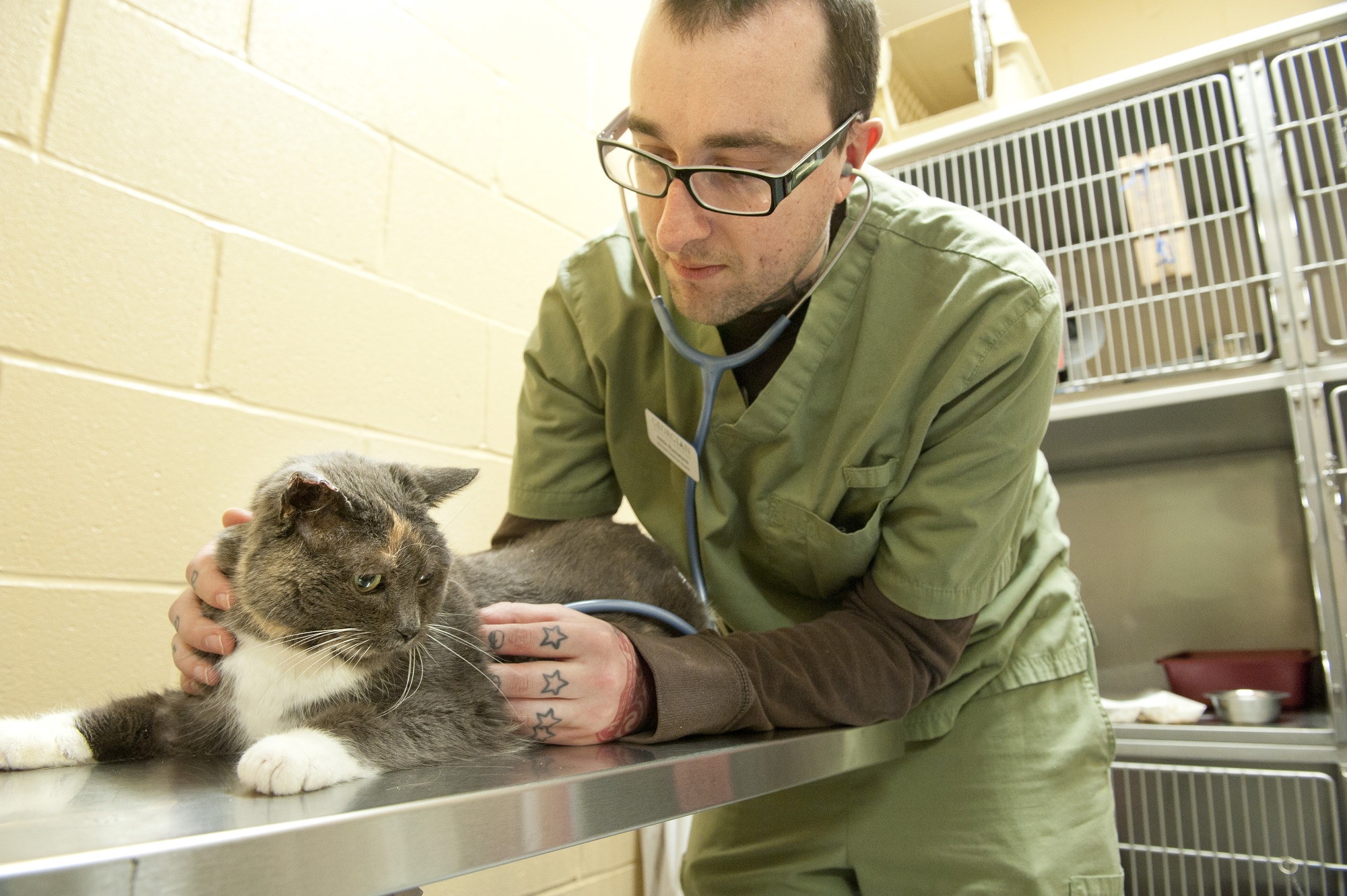 Male vet tech student with cat