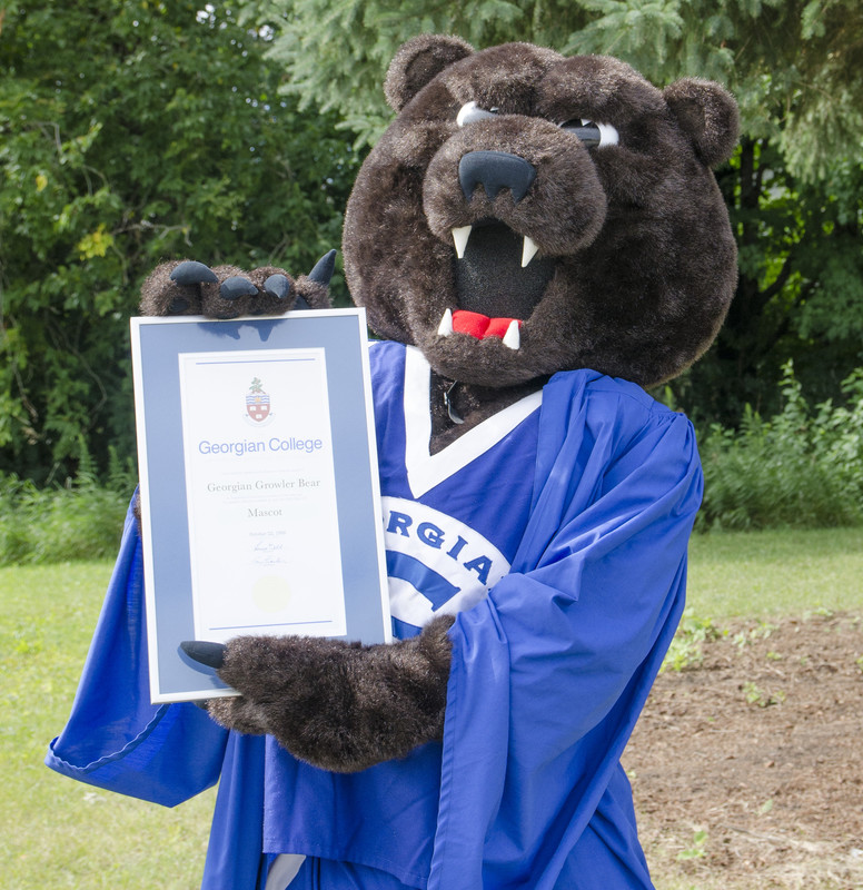 Georgian mascot Growler wearing a graduation gown, holding a framed diploma