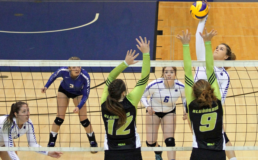 Volleyball teams playing a tournament