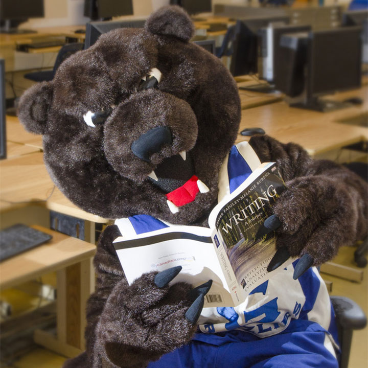 Growler, Georgian's grizzly bear mascot, sitting on a computer chair in a computer lab, while reading a textbook titled "Writing: A Journey"