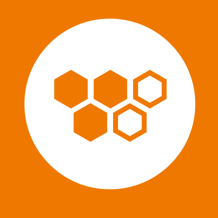 Social innovator changemaking pathway; icon of a hive