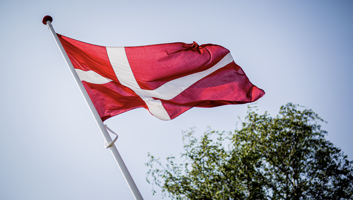 Image of the Denmark flag against a blue sky with a tree in the lower right background.