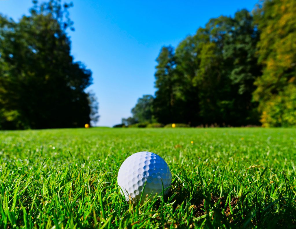 White golf ball on green grass with trees in the background