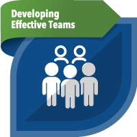Developing Effective Teams