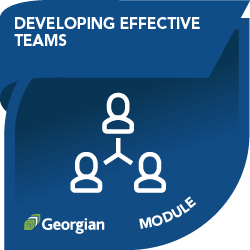 UpSkill Tourism micro-credential: Developing Effective Teams module