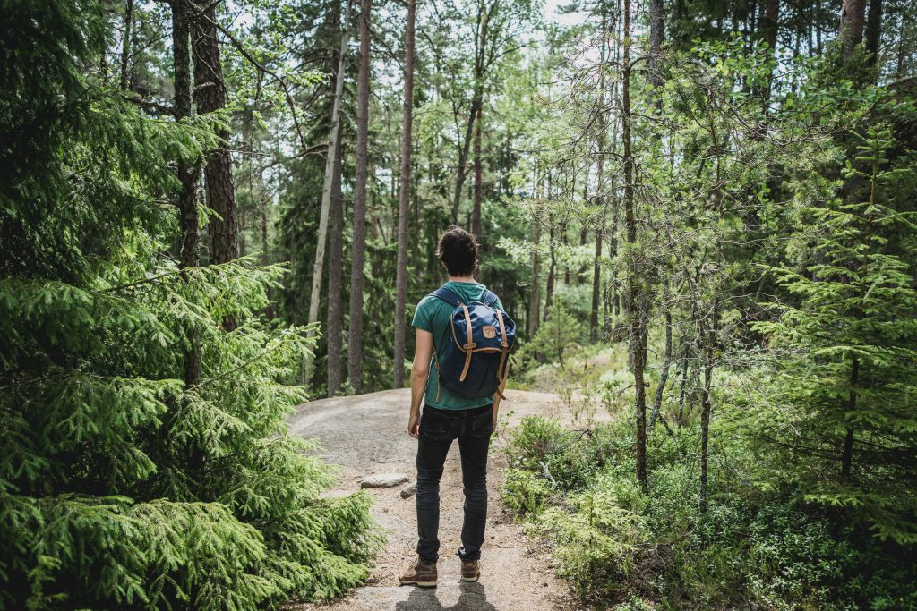 Young man with his back to the camera walking in a forest with a backpack