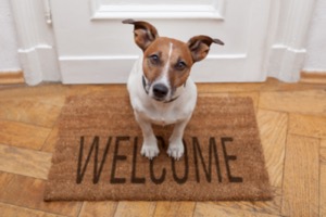 A dog sitting on welcome mat in front of a front door
